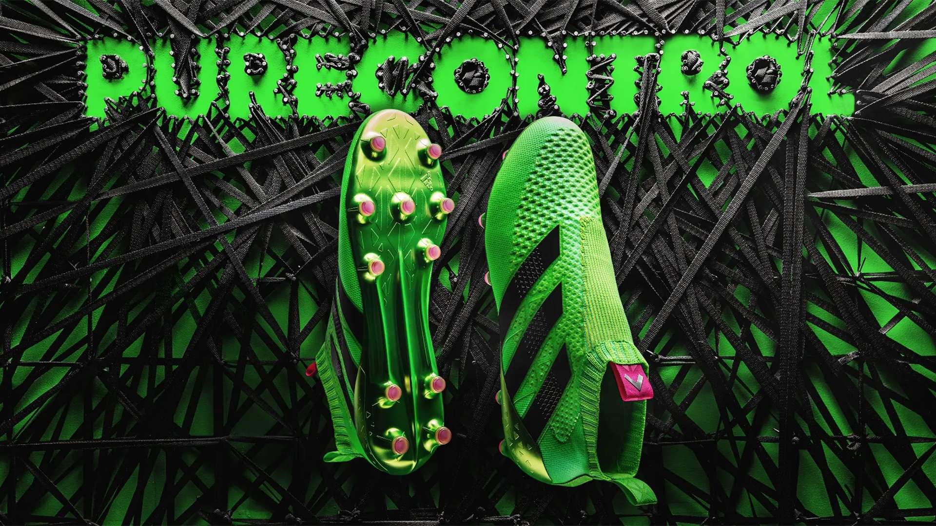 的未来发展 的未来发展