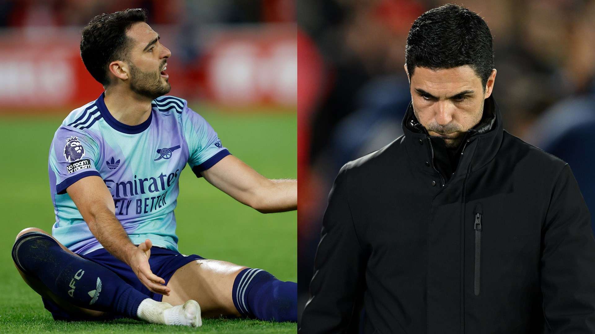 化的竞争环 化的竞争环