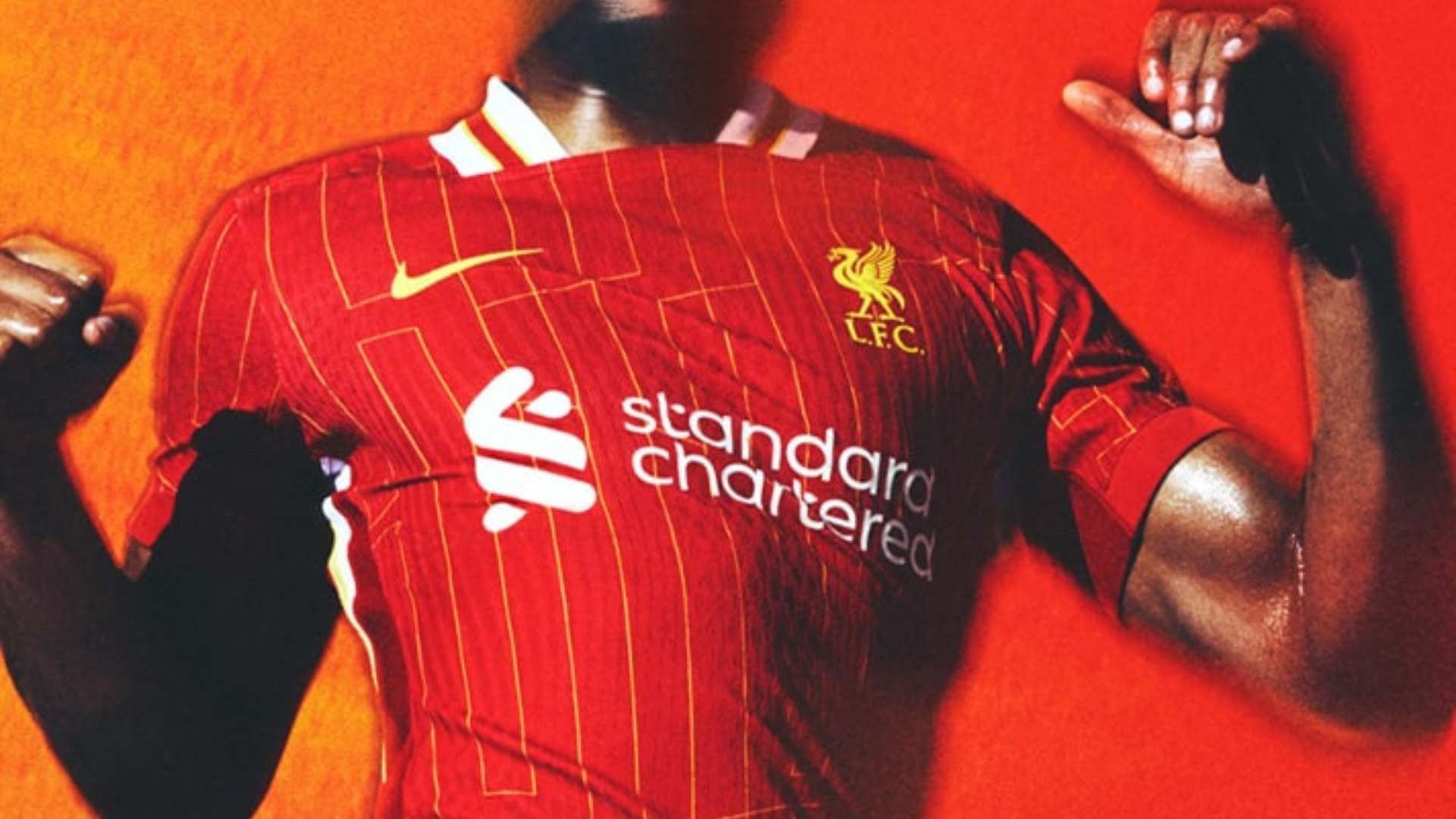 球迷和对手 球迷和对手